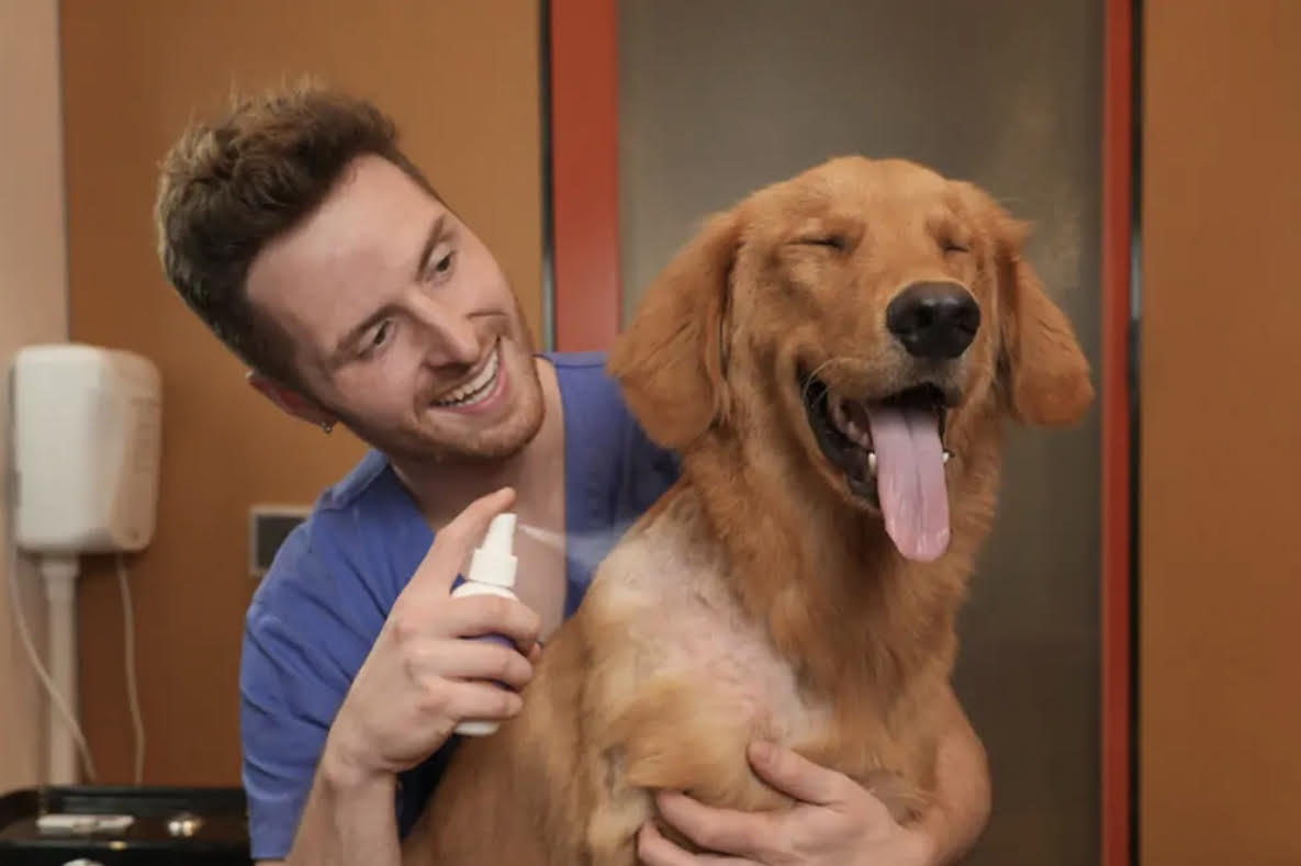 Chemical-Free Pet Disinfectant USA