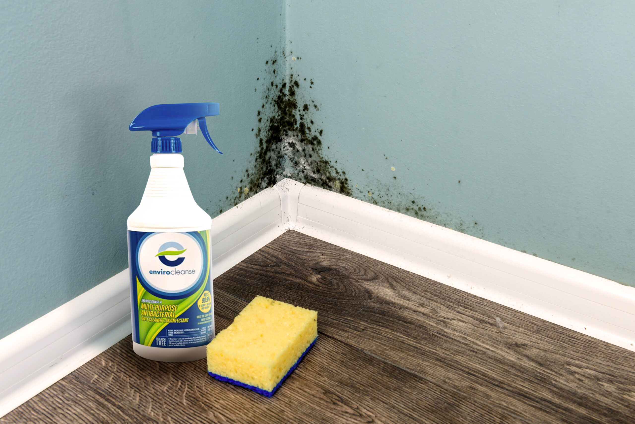 Best HOCl Disinfectant