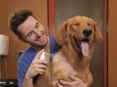 Chemical-Free Pet Disinfectant USA