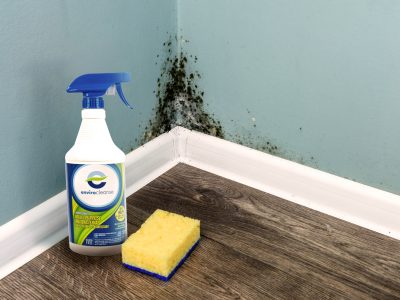 Best HOCl Disinfectant